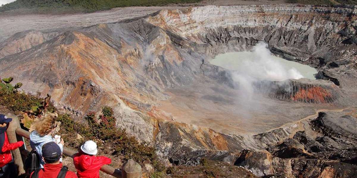 Exploring the Wildlife of Puerto Limon Shore Excursions
