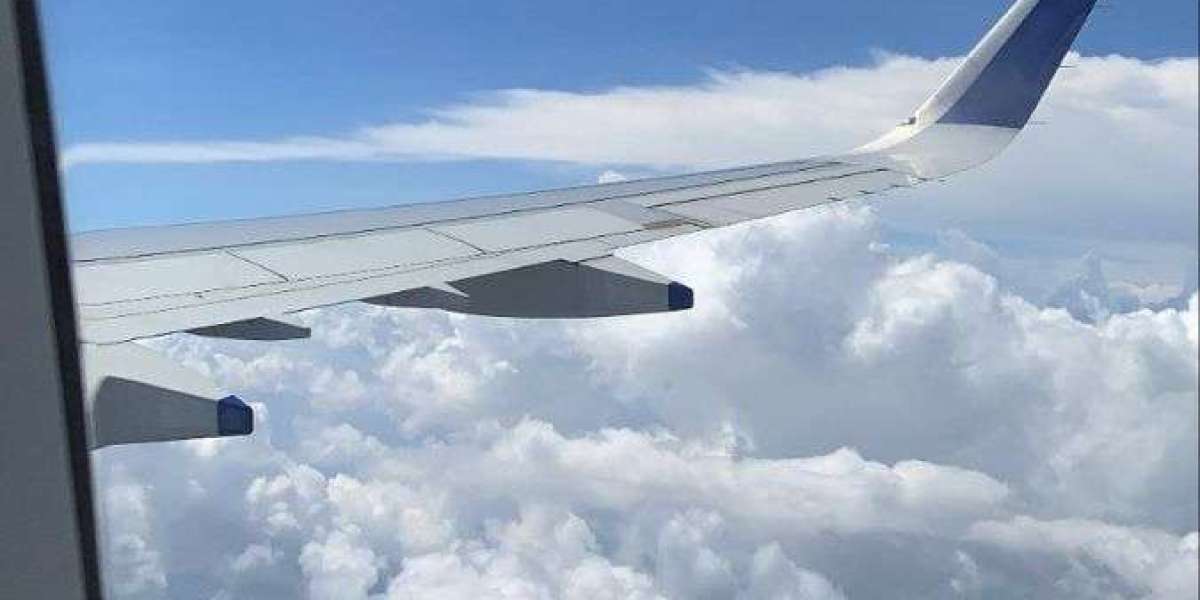 Turkish Airlines Tehran Office