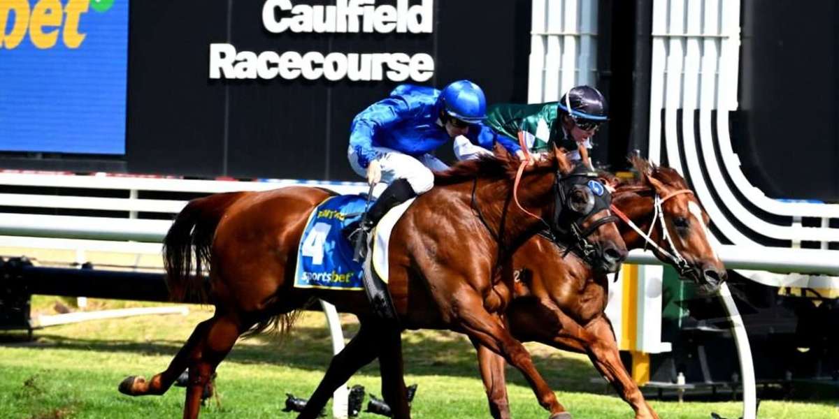 How to Choose the Best Betting Sites in Australia