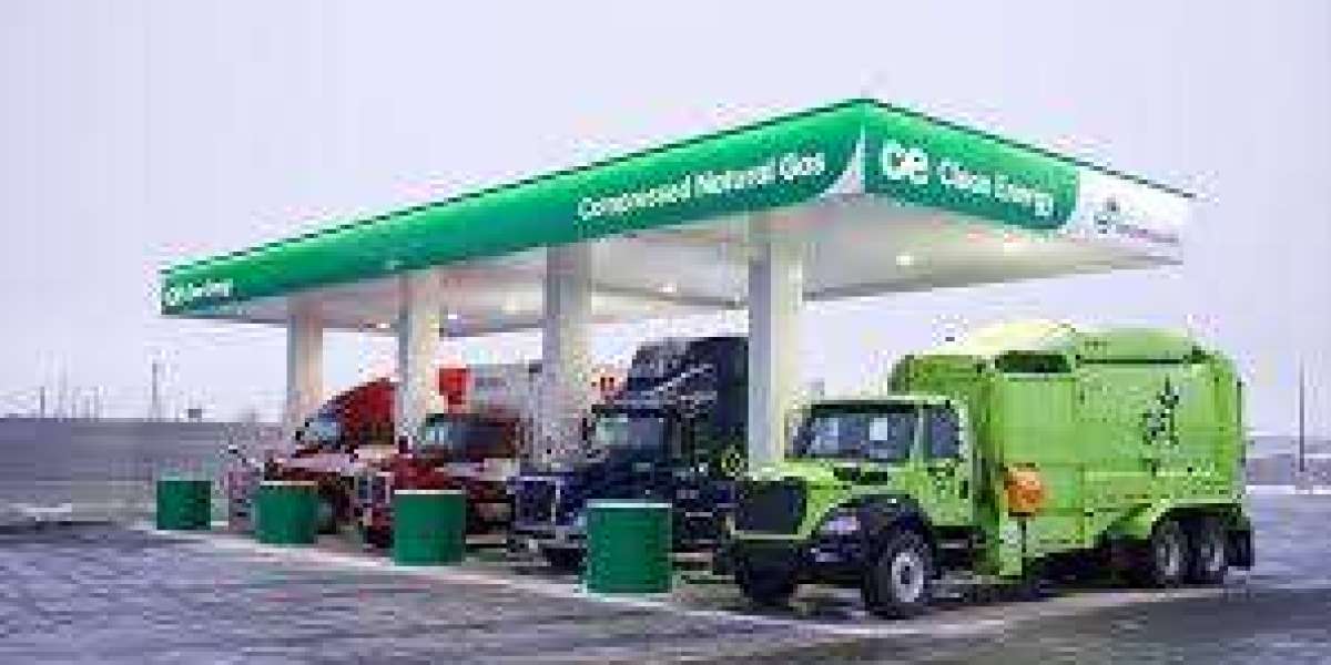 CNG Market 2031 Size, Share, Price Trends, Report by Application