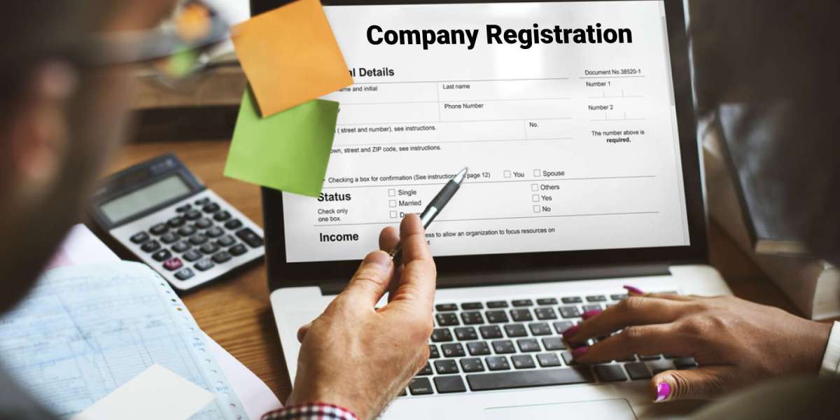 NAZ Intellectual Services – Professional Corporate Consultancy in Pakistan