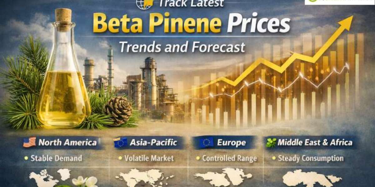 Beta Pinene Prices: Latest Market Trends, Supply Dynamics, and Forecast Outlook