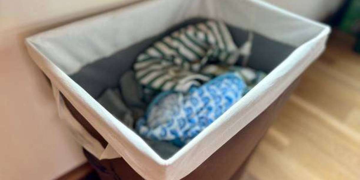 Practical Storage Solutions for Active Households