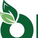 Organicfreshindia Profile Picture