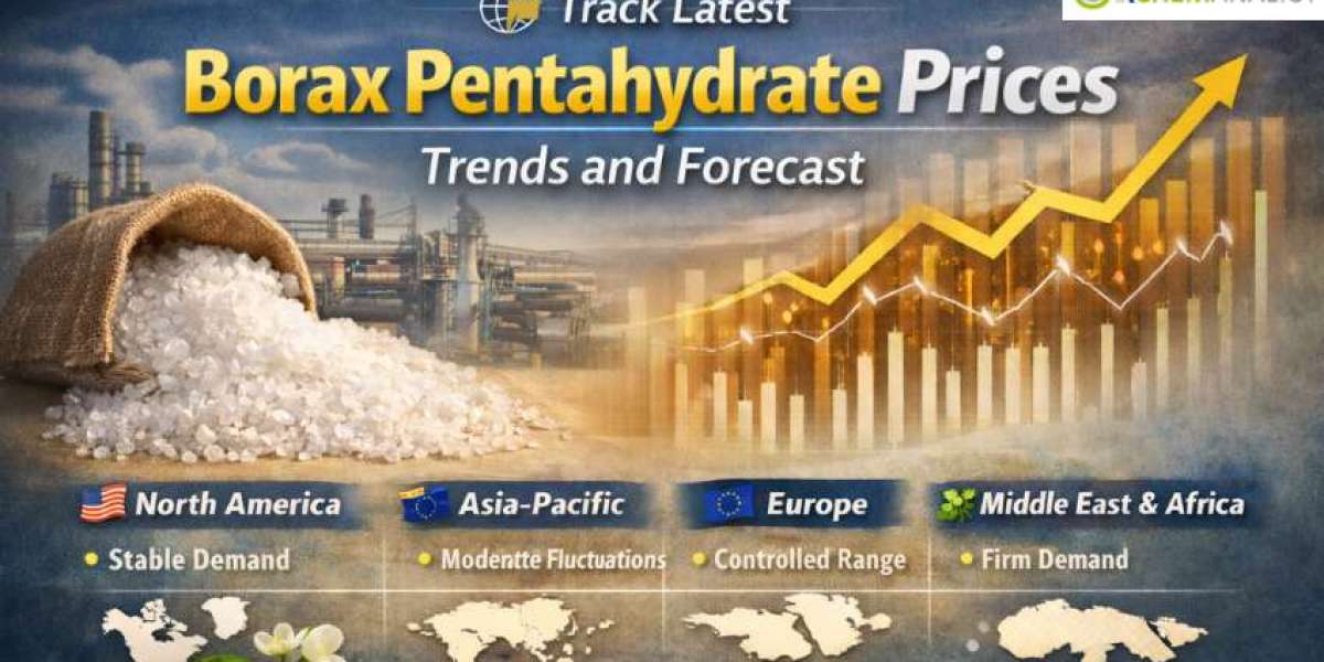 Borax Pentahydrate Prices: Latest Market Trends, Supply Dynamics, and Forecast Outlook
