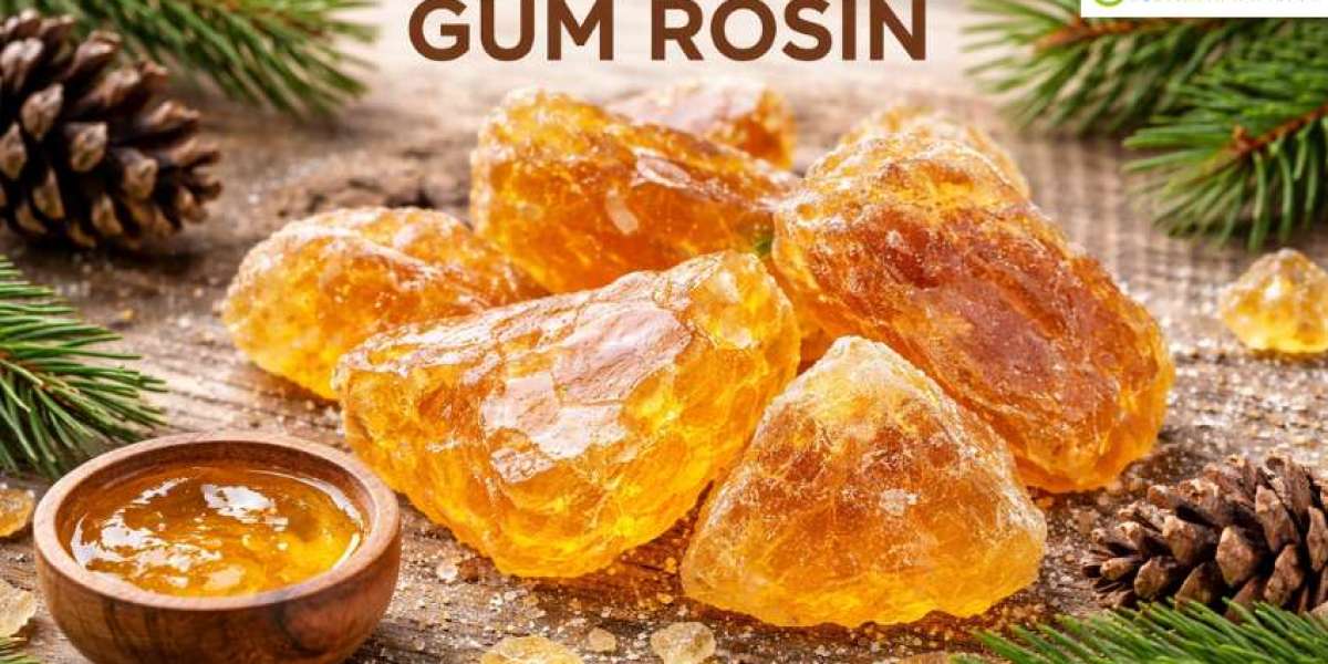 Gum Rosin Prices: Latest Market Trends, Supply Dynamics, and Forecast Outlook 2026