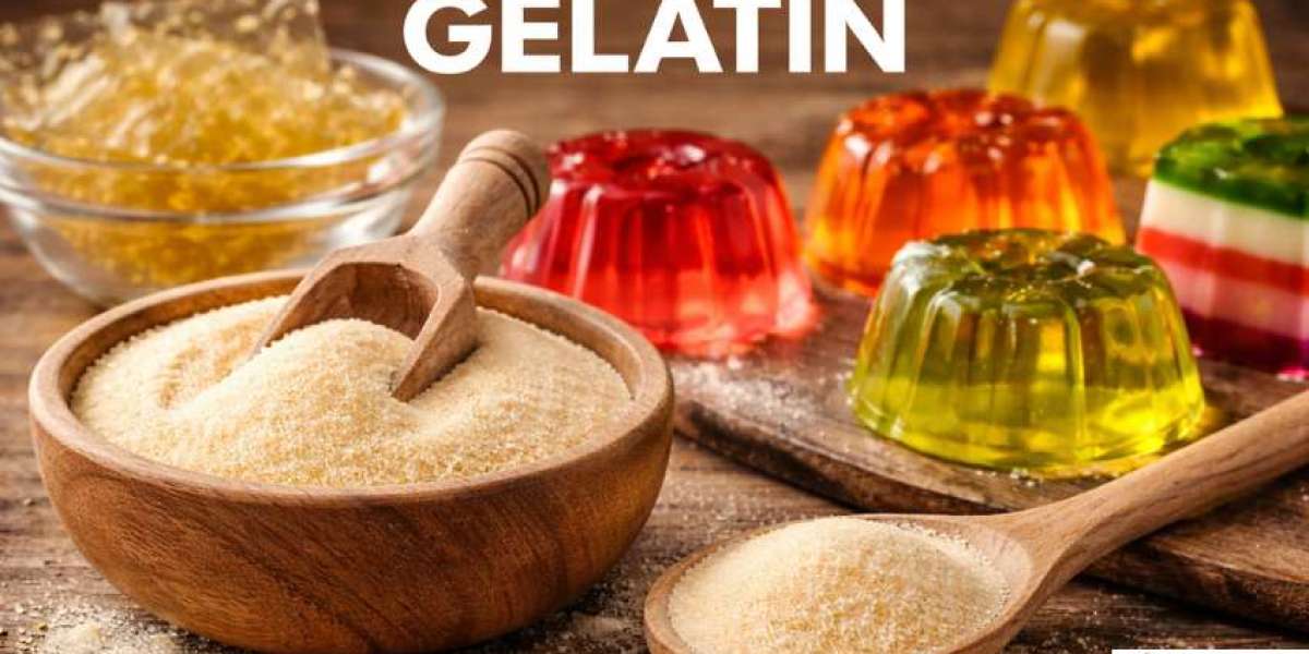 Gelatin Prices: Latest Market Trends, Supply Dynamics, and Forecast Outlook 2026
