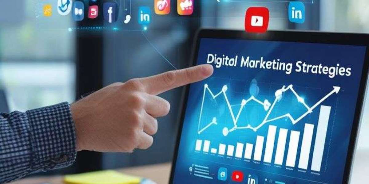 Affordable SEO Packages India for Small Businesses | NMT Technologies