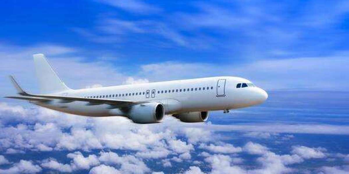 5 Lounges You Can Access Via Turkish Airlines Customer Support Phone Number San Francisco