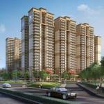 1 bhk flats in Noida Profile Picture