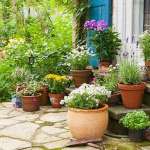 Digital Growth Profile Picture