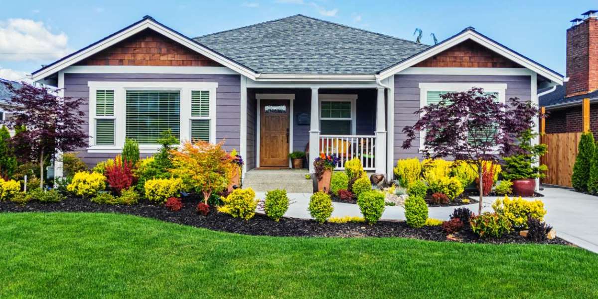 Why Commercial Palm Tree Installation Apollo Beach Enhances Property Curb Appeal