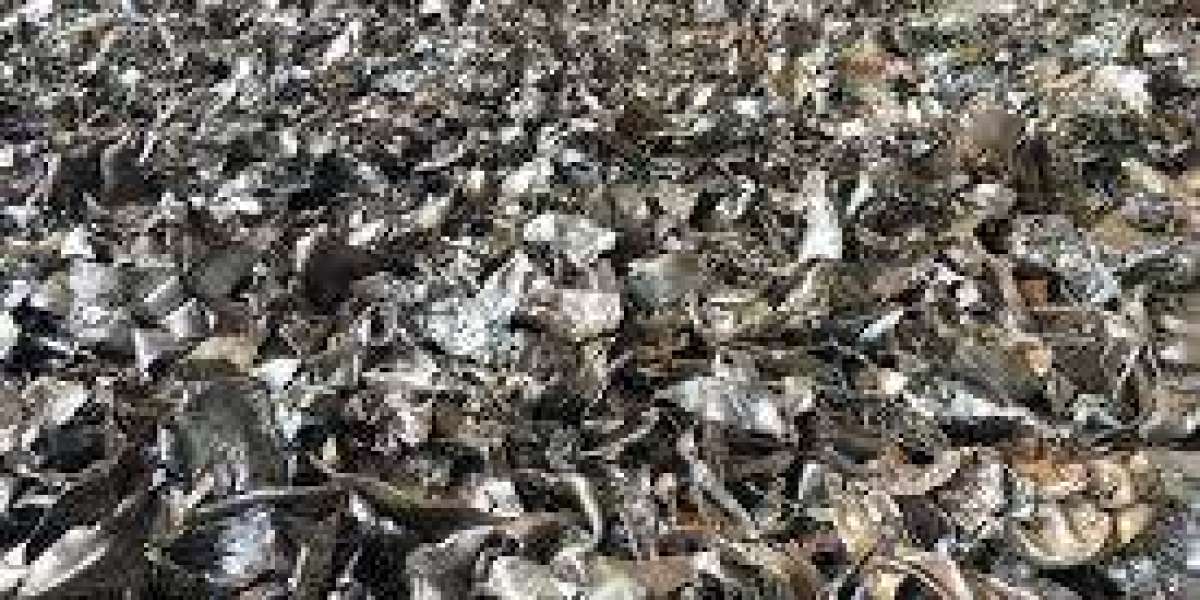 Busheling Scrap Price Trend in Q3 2025 A Simple and Clear Market Overview