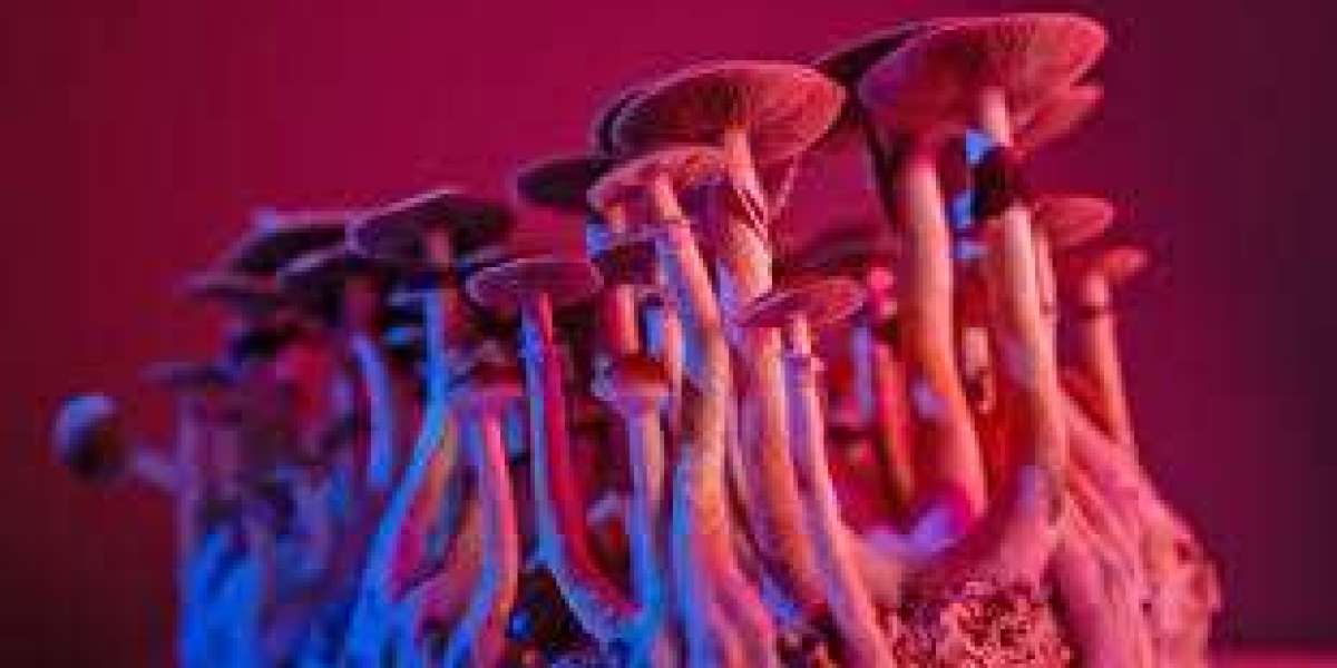 A Complete Guide to Buy Magic Mushrooms Online in Canada