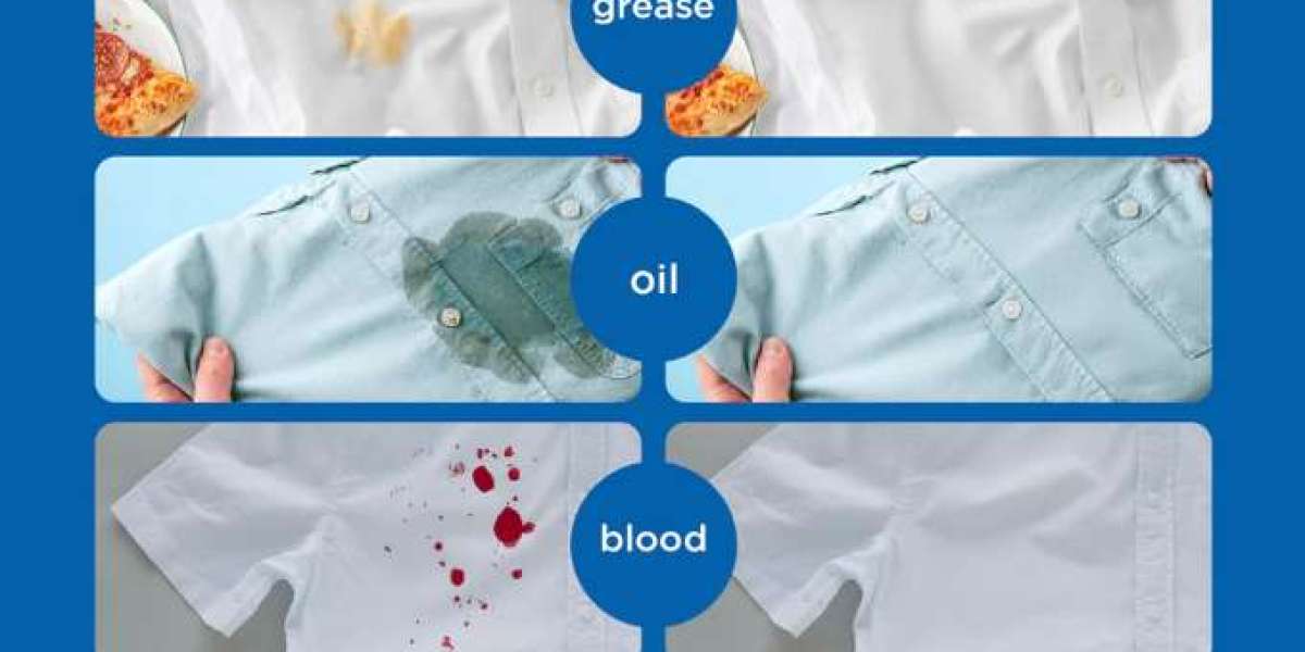 Understanding Everyday Cleaning Products and Their Uses in Modern Homes