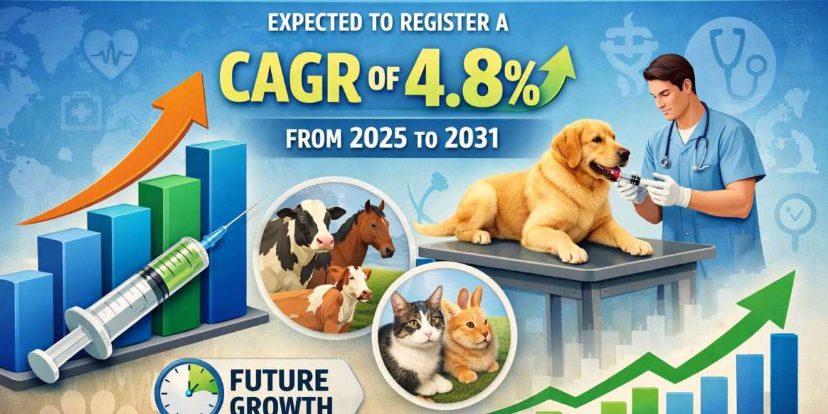 Veterinary Needles and Syringes Market Growth Drivers, Challenges & Opportunities