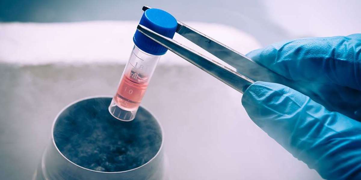 How to Verify a COFEPRIS Stem Cell Clinic Mexico Before Treatment