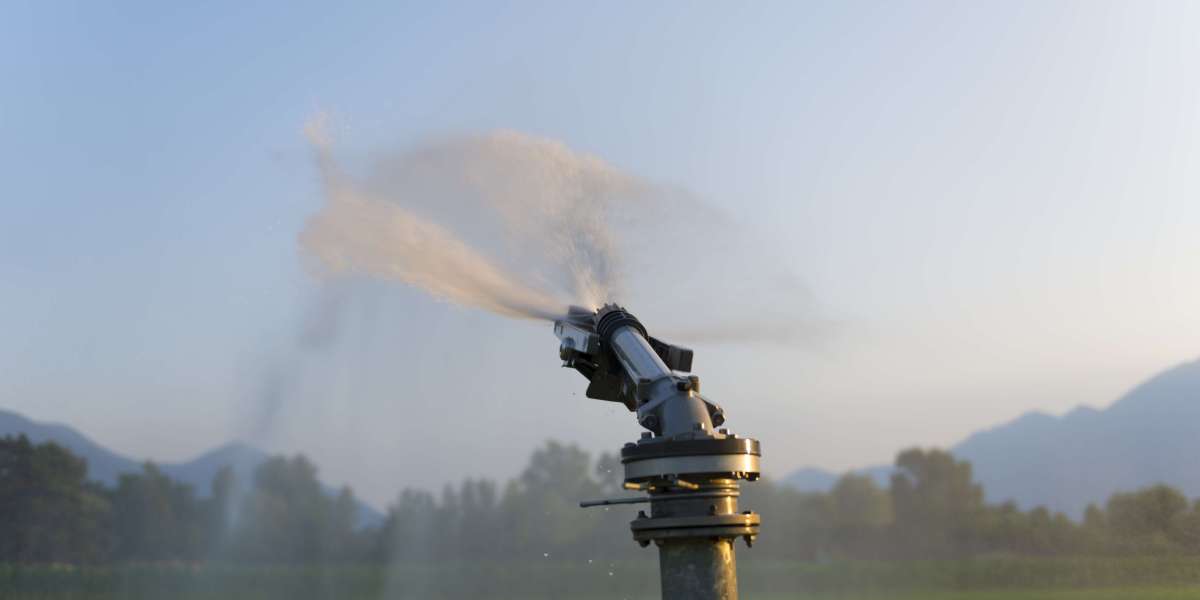 Lantana Sprinkler Repair Company – Keep Your Lawn Healthy Year-Round