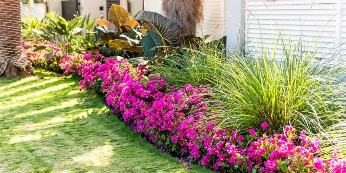 The Ultimate Guide to Tampa Bay Landscaping for Beautiful Yards