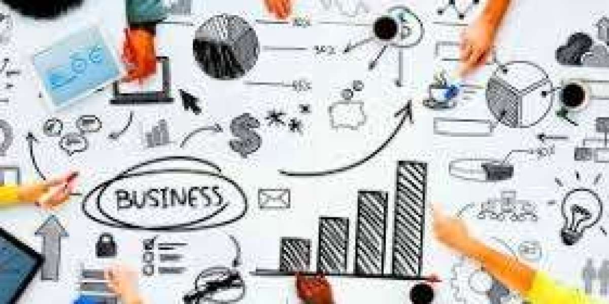 Global Poultry Probiotic Ingredients Market Key Players, Trends, Sales, Supply, Demand, Analysis and Forecast 2025-2034