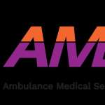 Ambulanceservicesg Singapore Profile Picture