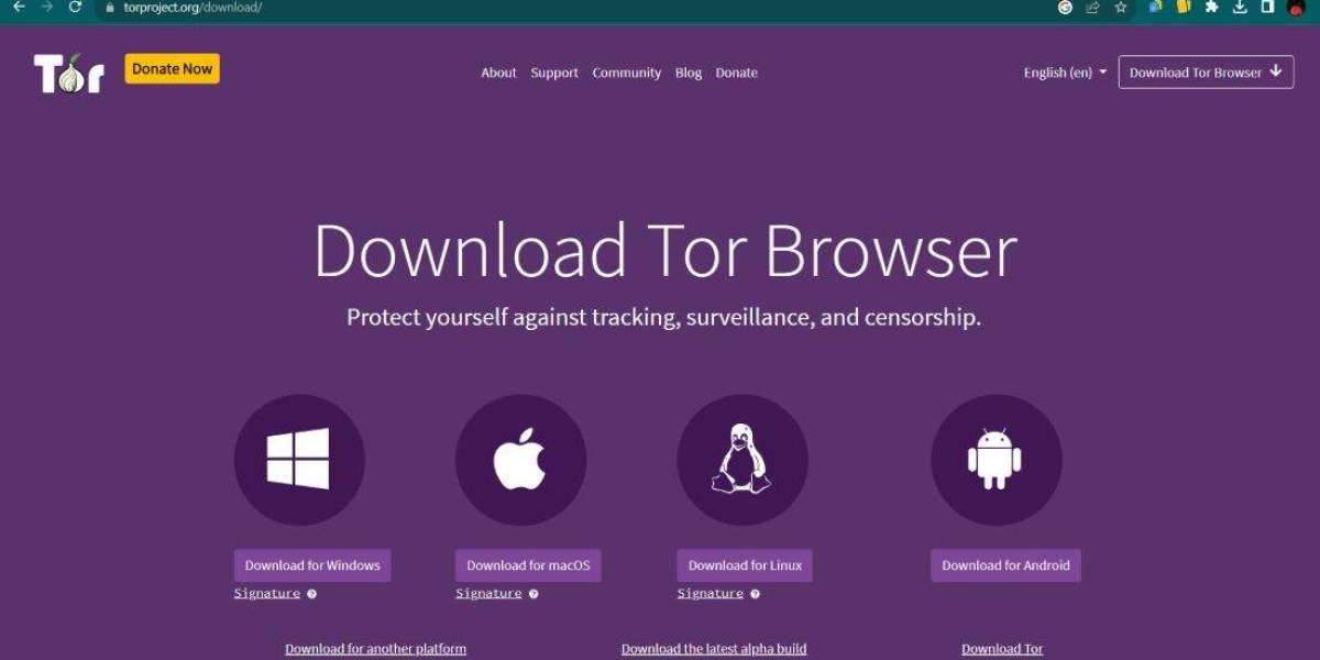 How Tor Bridges Maintain Connection Stability in 2026