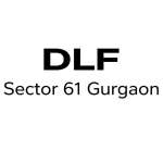 dlfsector61 Profile Picture
