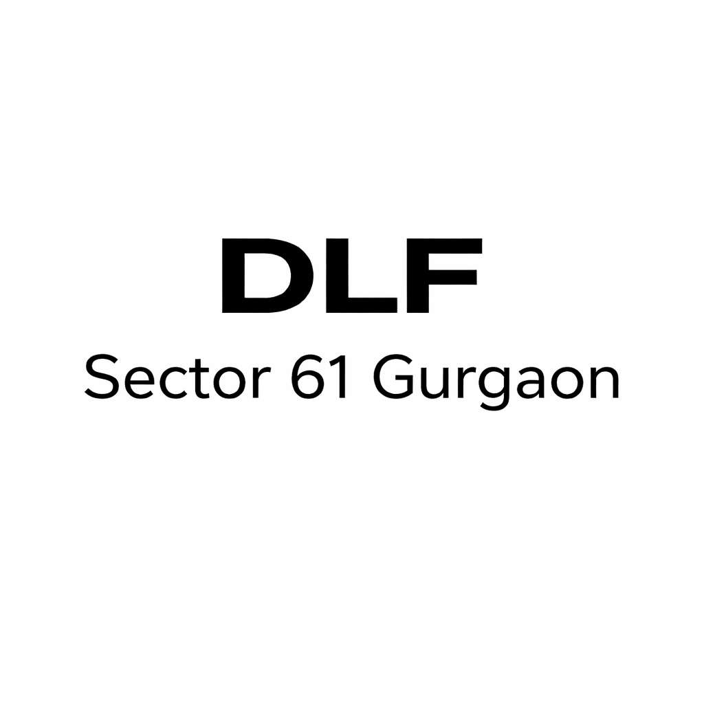 dlfsector61 Profile Picture