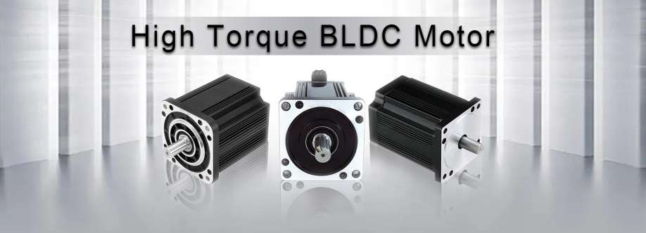 BLDC Electric Motor Supplier Cover Image
