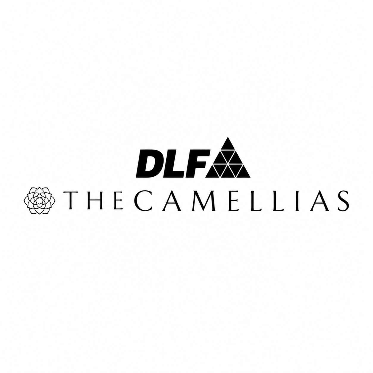 dlfcamellias Profile Picture