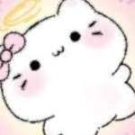 xinke xinke Profile Picture