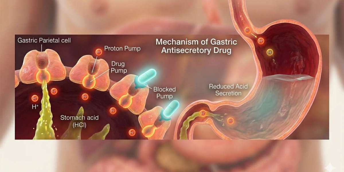 United States Gastric Antisecretory Drug Market Overview and Forecast 2034