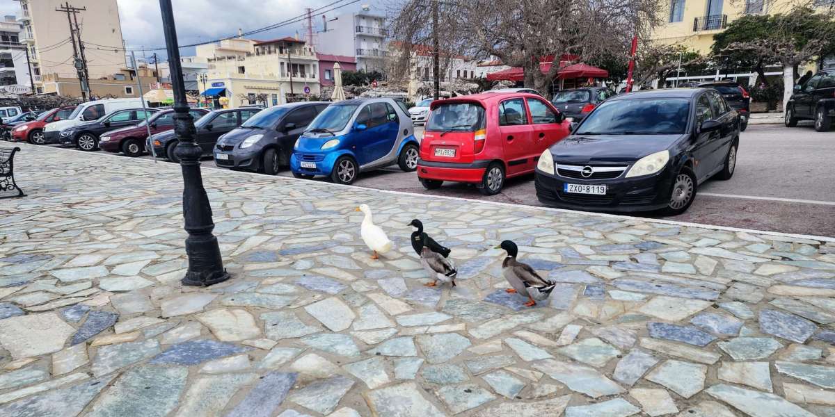 Profitable Investments in Greece for Entrepreneurs and Startups