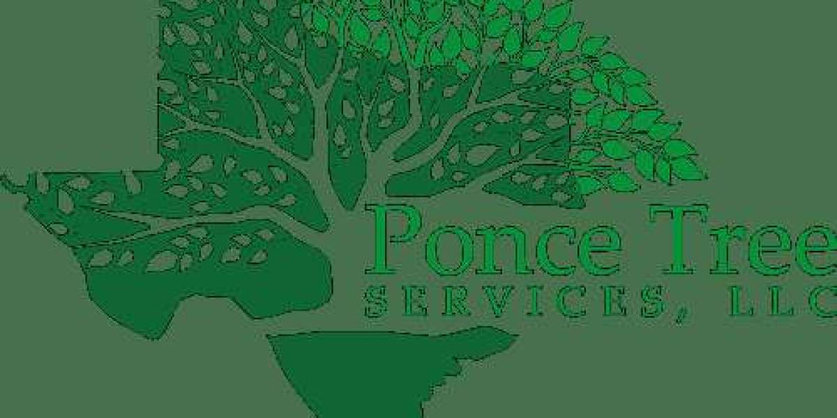 Why Professional Tree Removal Matters for Property Owners
