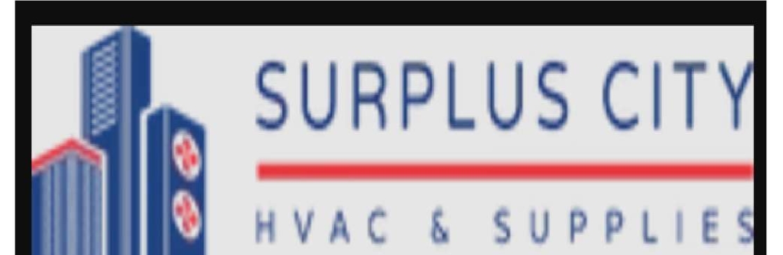 Surplus City Cover Image