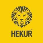 hekurindia Profile Picture