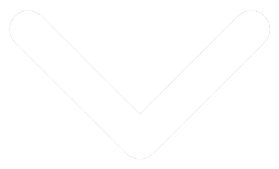 Blog - Mentor