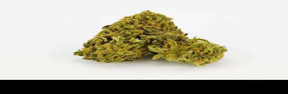 Green Therapy Cover Image
