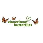 Cloverlawn Butterflies Profile Picture