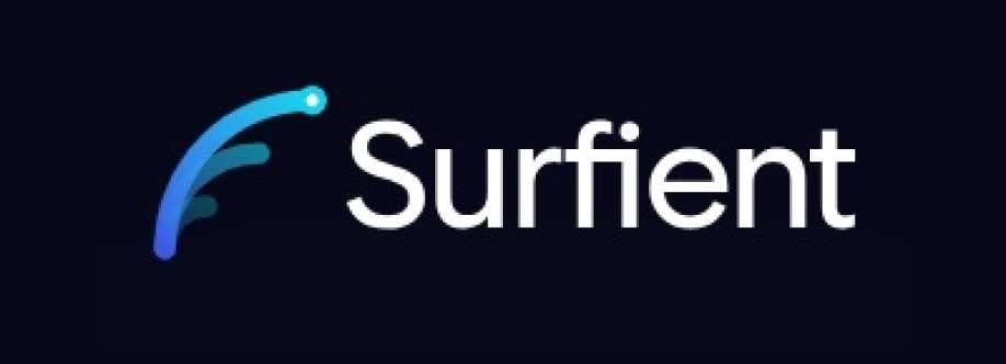 Surfient Cover Image