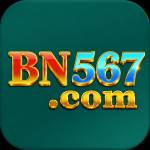 bn567 bn567 profile picture
