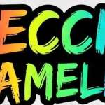 Mecccha Chameleon Profile Picture