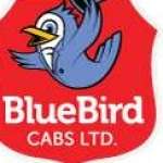 Bluebird Cabs Ltd Profile Picture