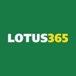 Lotus365 Profile Picture