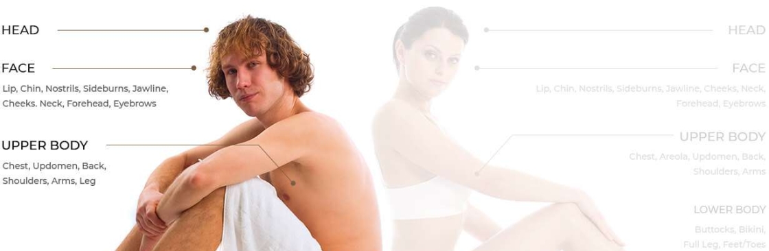 Skin Hampshire Cover Image