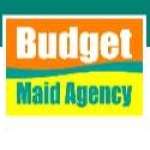 Budget Maid Agency profile picture