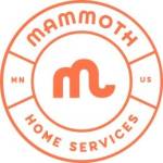 mammothhomeservices profile picture