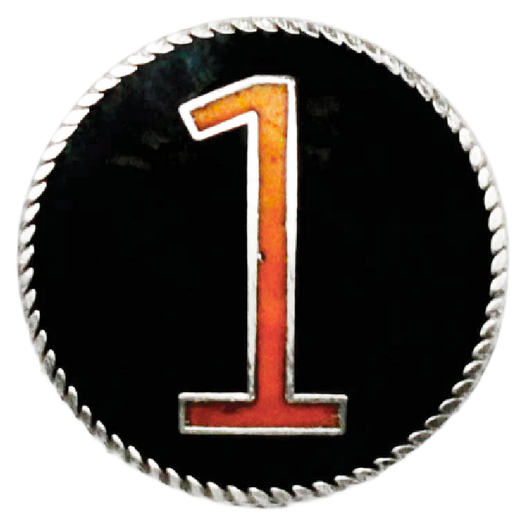 Police Star Badges for Sale - Buy Circle Star Badges Online | Irvin H. Hahn