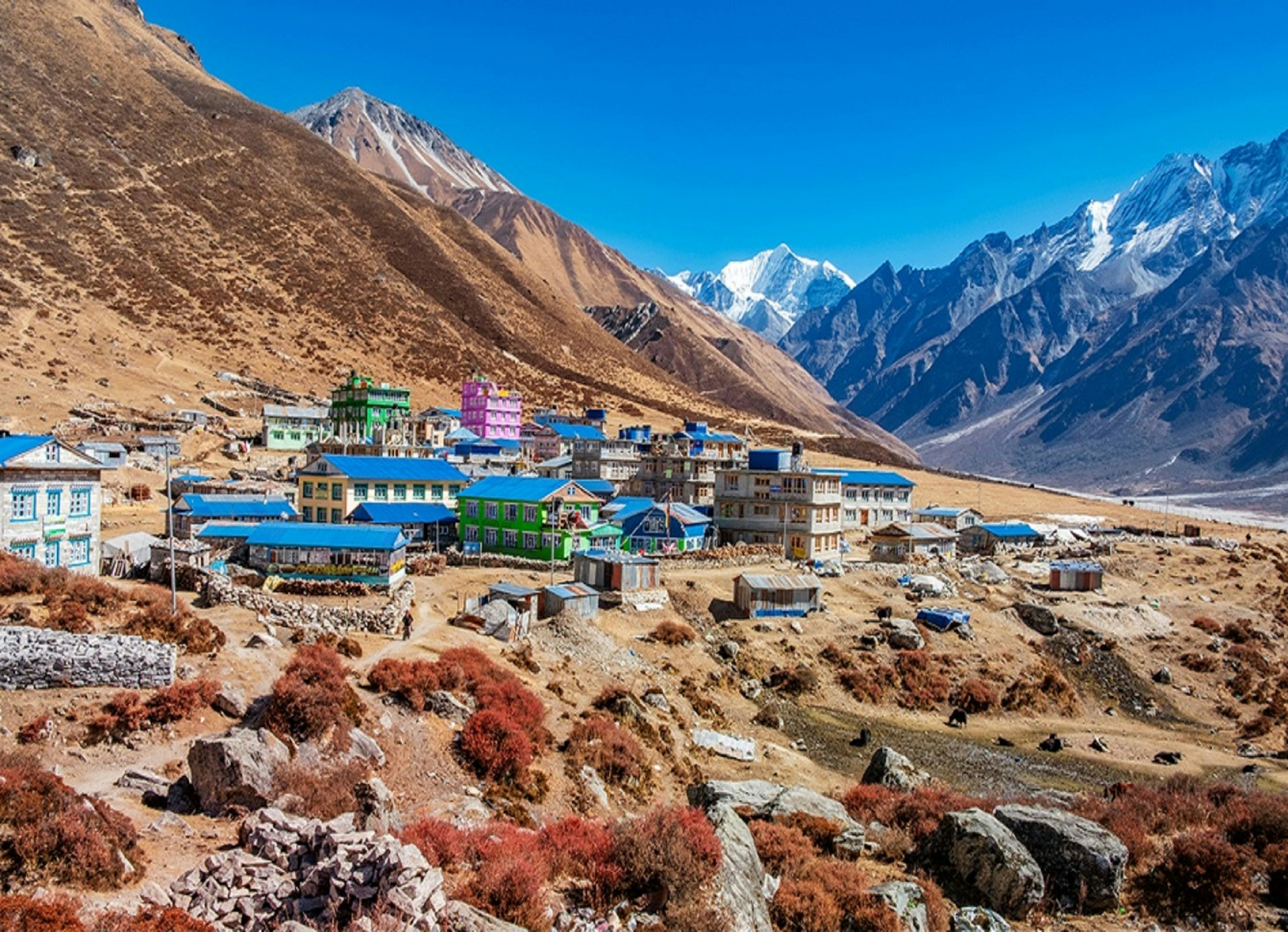 Langtang Valley Trek - raiadventure