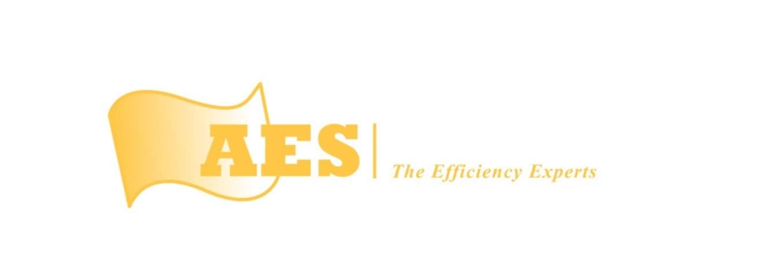 American Efficiency Services Cover Image